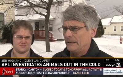 New Laws Protect Animals From Winter Weather