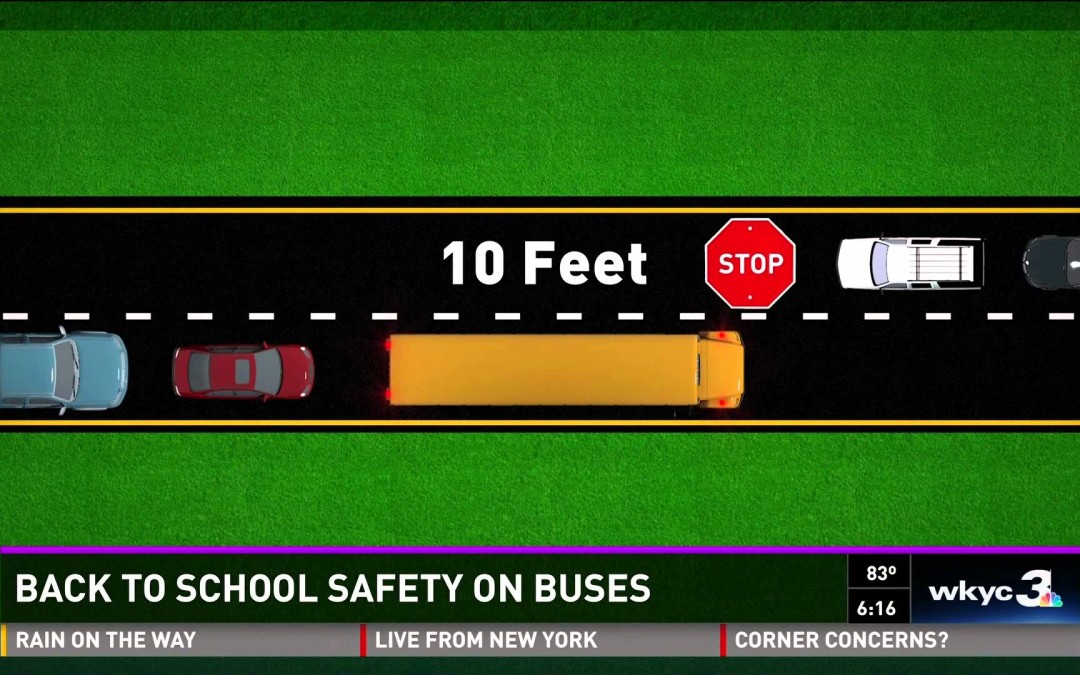 What Are Laws For Passing A School Bus?